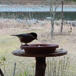 くつきそば 永昌庵 - 