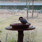 くつきそば 永昌庵 - 