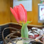家庭料理 小川 - チューリップ