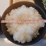 おいしいお酒とぽかぽかご飯 ふたば食堂 - お茶碗の直径11cm