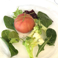 リストランテ・マッサ - 