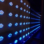 レスト ケイ ヤマウチ - ここでロケーションチェンジ。暗闇の中を案内され、シェフズテーブルへ