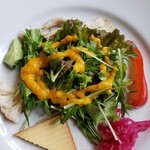 ノースポール - 七ツ森サラダ