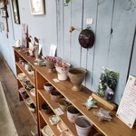 ノースポール - 別室に移動しました。