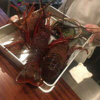 新中国料理HARAKAWA 北新地店 - 