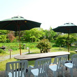 もり珈琲店 - 新緑ですね～