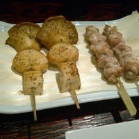 鳥ばか一代 - 
