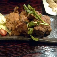 鳥ばか一代 - 