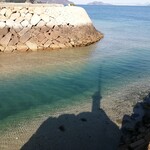 クラシコ瀬戸内珈琲 - 