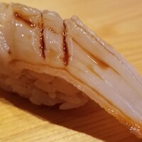 高柿の鮨 - ⑥ミル貝
                    旬となる春、軟らかくもコキュコキュした食感としっとりした旨みが際立ちますね。
                    鮮度が良く、丁寧に手当てしてあるので貝独特の香りはあるが許容範囲内です。