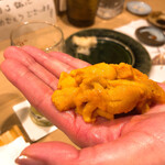 うを徳 - 函館産馬糞雲丹