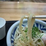 はなまる屋 - うどん