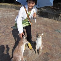 日本料理てら岡 中洲本店 - 大濠公園だったかな？