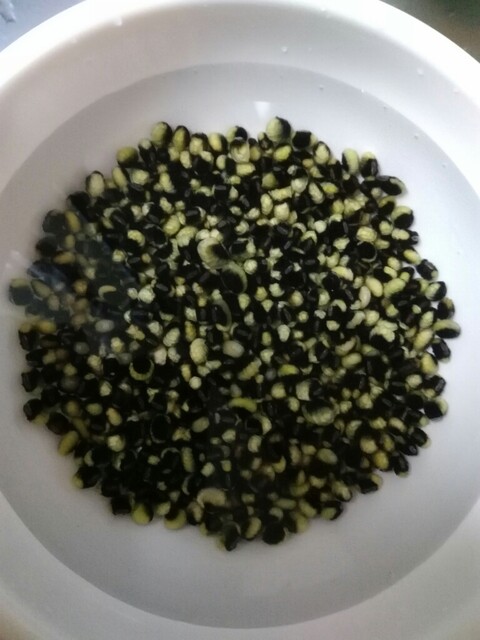 豆・雑穀の専門店 すずや 仙台朝市店（すずや穀物） - あおば通（その他）の写真