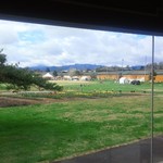 デリフランス - お店の中から