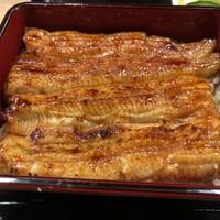 うなぎ 目白ぞろ芽 - 共水うな重