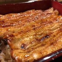 うなぎ 目白ぞろ芽 - 