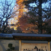 東京 芝 とうふ屋うかい - 