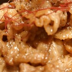 えびすこ本場所 - 