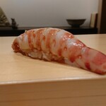 鮨 はしもと - 車海老