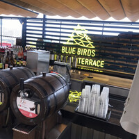 BLUE BIRDS ROOF TOP TERRACE - 