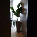 ロイヤルホテル カフェ＆バー リバーサイドテラス - ☆トイレからフロアへ向かっての場所に観葉植物がキラリ光合成を（笑）☆