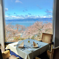 フレアージュダリアンス - 桜満開の時期に行けばこれはもう特等席です！