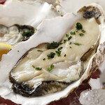 ◆ 38 Wharf ・ Specialty ◆~Oysters with shells from Senpoji, Nishi-Oyster ~: 1 piece