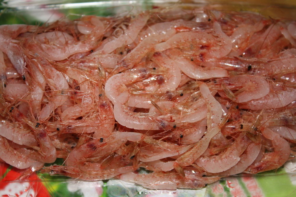 平安冷蔵 name=