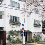 初音鮨 - 桜満開の並木道より