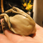 初音鮨 - 牡蠣＋ふき味噌