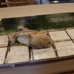 鮨處つの田 - 牡蠣(20-03)