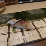 鮨處つの田 - 鰯(20-03)
