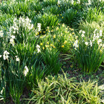 Rue Favart - 恵比寿の小さな春