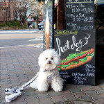 Rue Favart - こぶしが見えるエントランス