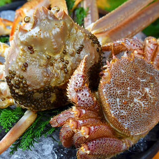 チーズタッカルビ×個室バル つぐみ_2