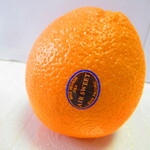RALSE - オレンジ【２０２０年３月】