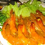 カサ・ベリヤ - 