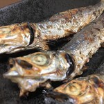 有限会社桝屋酒店   - ウルメイワシ