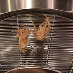 てんぷら 山の上 Roppongi - 