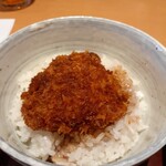 旬菜麺茶屋　五目亭 - ミニソースカツ丼！？
