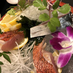 Katsugyo Sushi Shoumi - 