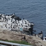 Donovan's Steak & Chop House - 