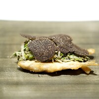 カンテサンス - 