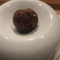 シブ ニシナカス - 