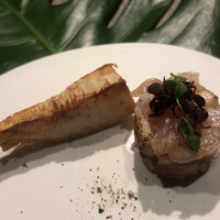 シブ ニシナカス - 