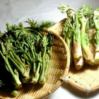 磯金 漁業部 枝幸港_1