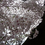 ラーメン二郎 - 雨だけど頑張ってた！