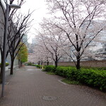 ラーメン二郎 - 食肉市場横も咲いてる