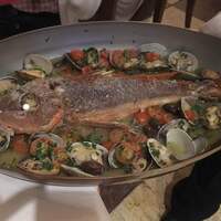 レオーネ・マルチアーノ - 